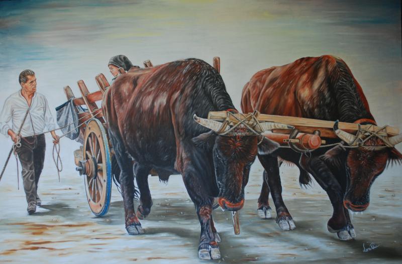 Carro di buoi